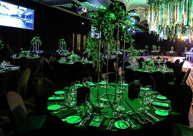 Green Plant Centrepieces